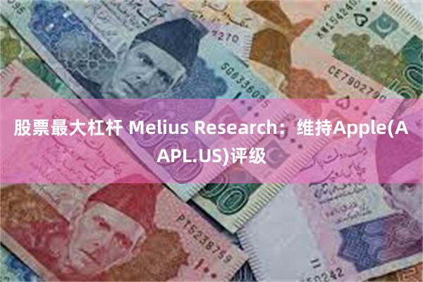 股票最大杠杆 Melius Research：维持Apple(AAPL.US)评级