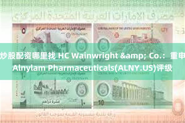 炒股配资哪里找 HC Wainwright & Co.：重申Alnylam Pharmaceuticals(ALNY.US)评级