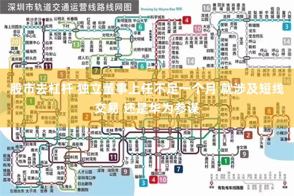 股市去杠杆 独立董事上任不足一个月 就涉及短线交易 还是华为参谋