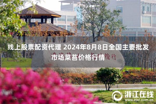 线上股票配资代理 2024年8月8日全国主要批发市场菜苔价格行情