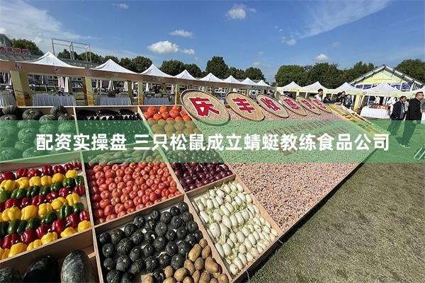 配资实操盘 三只松鼠成立蜻蜓教练食品公司