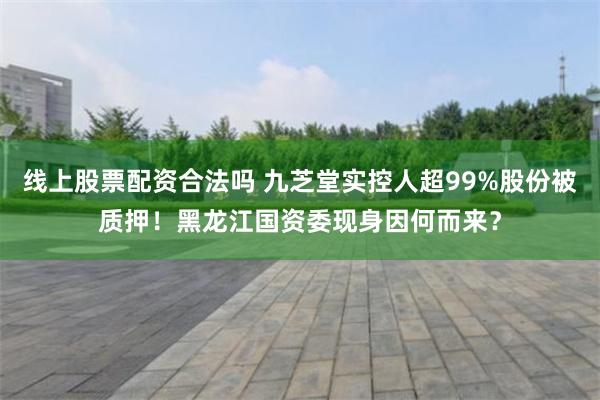 线上股票配资合法吗 九芝堂实控人超99%股份被质押！黑龙江国资委现身因何而来？