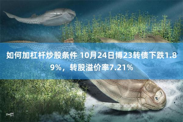 如何加杠杆炒股条件 10月24日博23转债下跌1.89%，转股溢价率7.21%