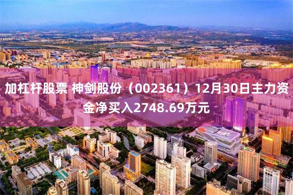 加杠杆股票 神剑股份（002361）12月30日主力资金净买入2748.69万元