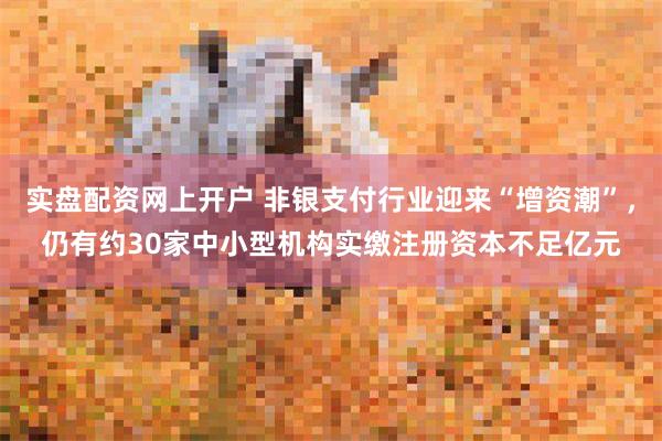 实盘配资网上开户 非银支付行业迎来“增资潮”，仍有约30家中小型机构实缴注册资本不足亿元