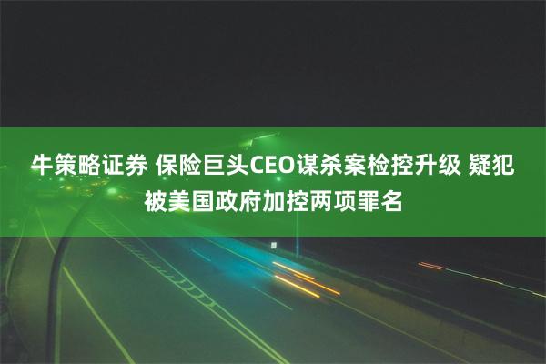 牛策略证券 保险巨头CEO谋杀案检控升级 疑犯被美国政府加控两项罪名