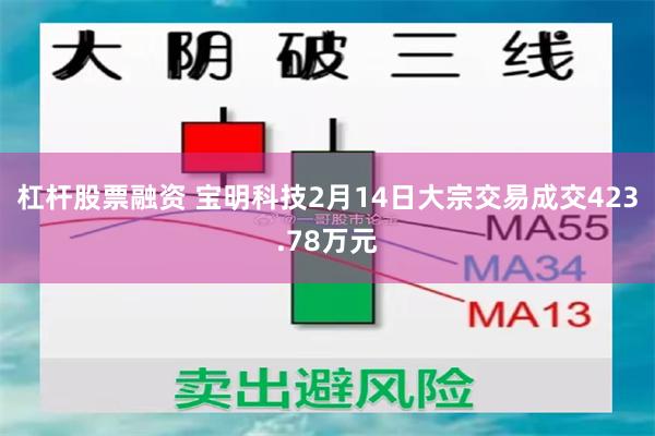 杠杆股票融资 宝明科技2月14日大宗交易成交423.78万元